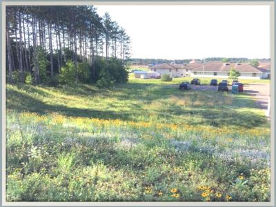 Photo Overlooking the East Side of the Service Center Pollinator Gardens